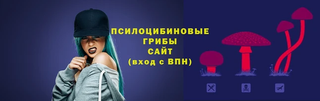 ALPHA PVP Вязьма